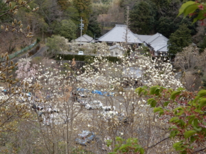 小山の上から見たところ