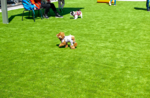 新東名高速道路 静岡SA（上り：東京方面）ドッグラン