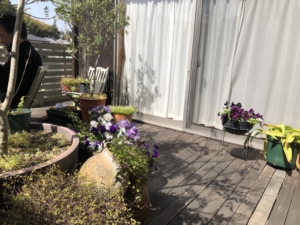 お花がいっぱい