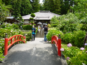 人は少なめだけど自粛開けなので少しいるなという印象