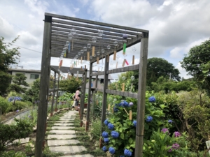 入ると涼やかな風鈴が