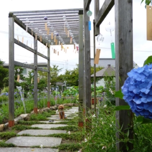 ふうたもぱちり