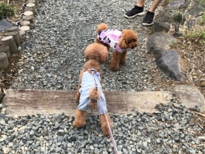 かわいこちゃんだ！