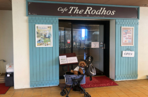 ドッグカフェ＆ドッグラン Café The Rodhos（カフェザロードス）（浜名湖レークサイドプラザ内）浜松市北区三ヶ日町-店内わんちゃんOK