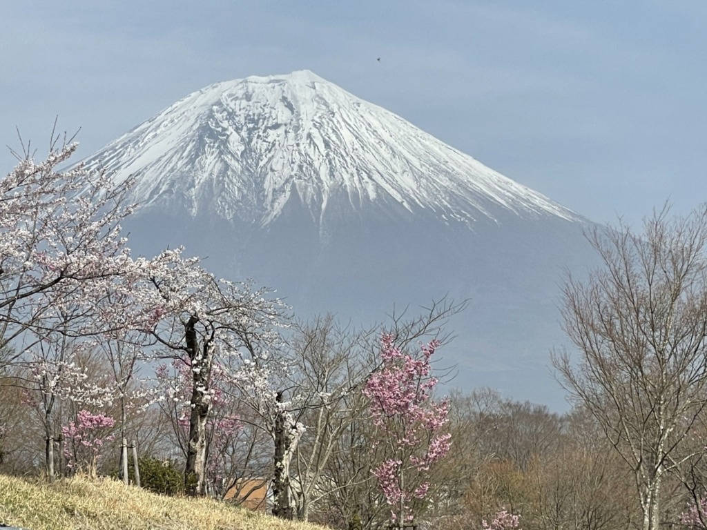 田貫湖でお散歩してきたよ 富士宮市 桜 紅葉 しずおかわんわんさんぽ